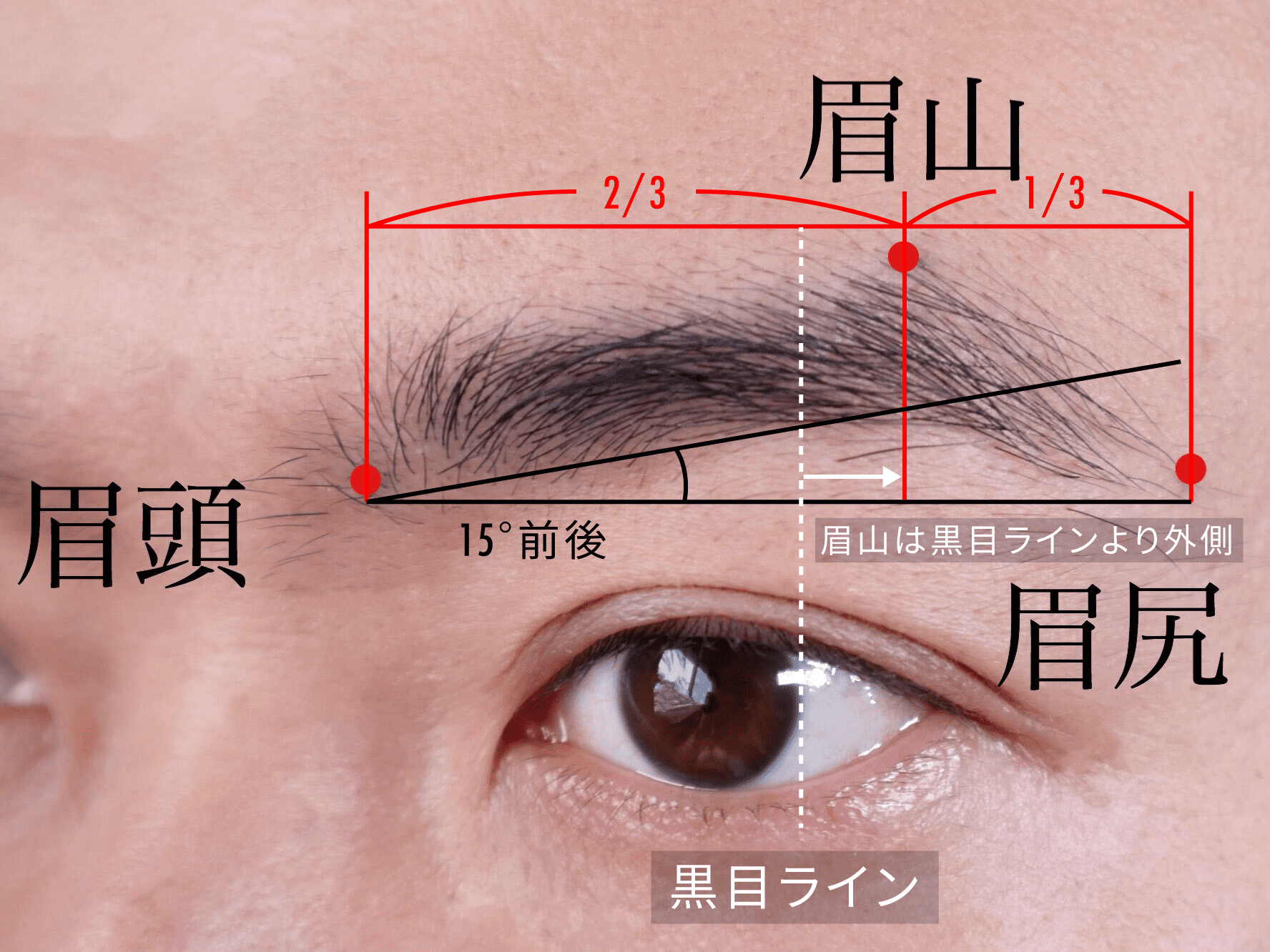 メンズが眉毛を生やす方法を解説 おすすめアイテムも紹介